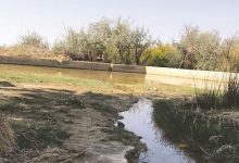 چشمه ی زیبای روستای بویی آباد