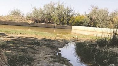 چشمه ی زیبای روستای بویی آباد