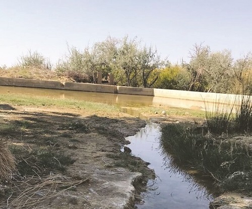 چشمه ی زیبای روستای بویی آباد